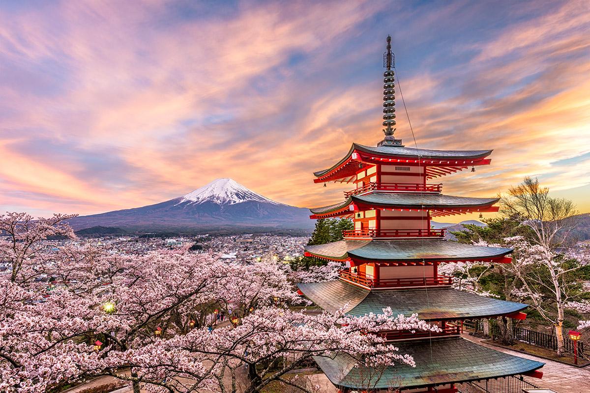 CRUCEROS JAPON CRUCEROS ASIA CRUCEROS TOKIO CRUCEROS ASIA JAPAN CRUISES #Japon #Tokio #Asia #Cruceros #CrucerosAsia #AsiaCruises